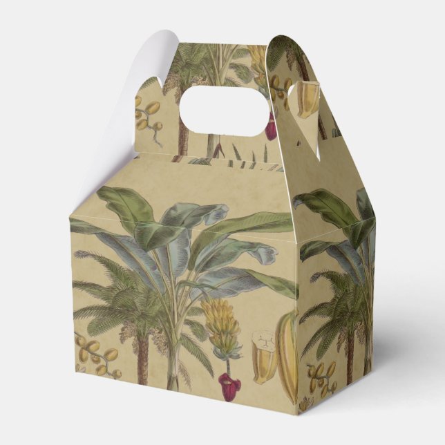 Palm Antique Tropical Fruit Botanical Art Favor Box (Front Side)
