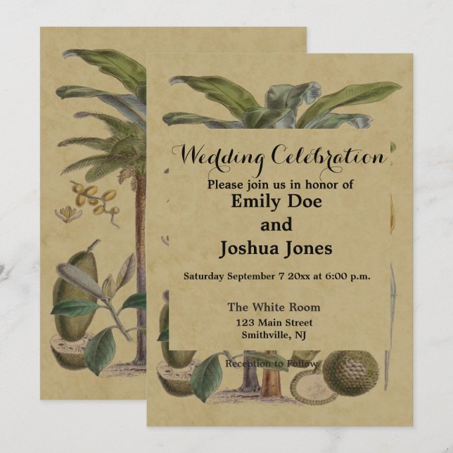 Palm Antique Tropical Fruit Botanical Art Invitation (Front/Back)