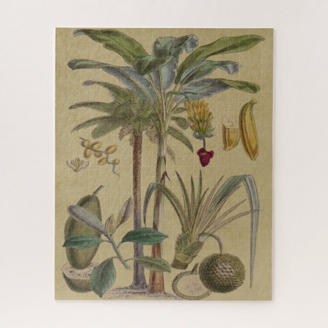 Palm Antique Tropical Fruit Botanical Art Jigsaw Puzzle (Vertical)