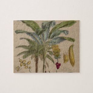 Palm Antique Tropical Fruit Botanical Art Jigsaw Puzzle