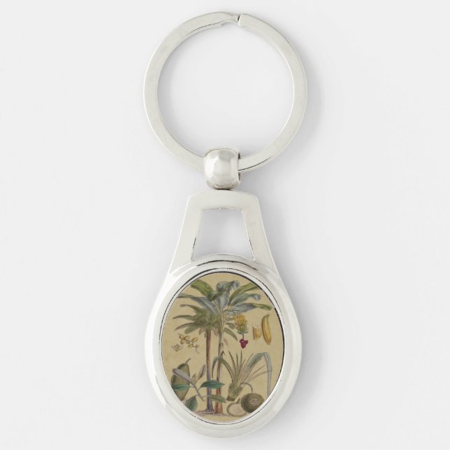 Palm Antique Tropical Fruit Botanical Art Keychain (Front)