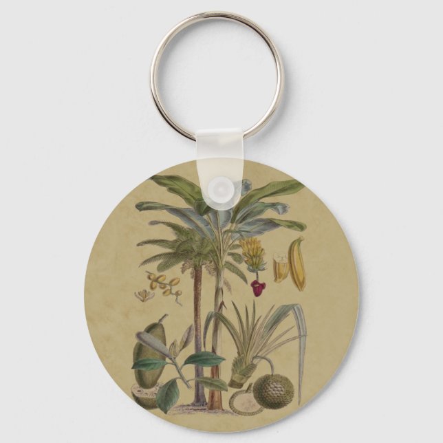 Palm Antique Tropical Fruit Botanical Art Keychain (Front)