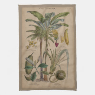 Palm Antique Tropical Fruit Botanical Art Kitchen Towel