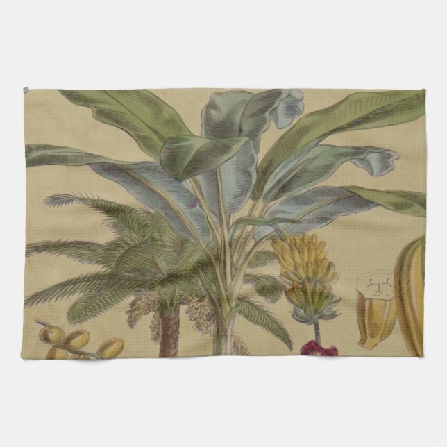 Palm Antique Tropical Fruit Botanical Art Kitchen Towel (Horizontal)
