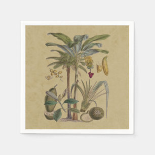 Palm Antique Tropical Fruit Botanical Art Napkin