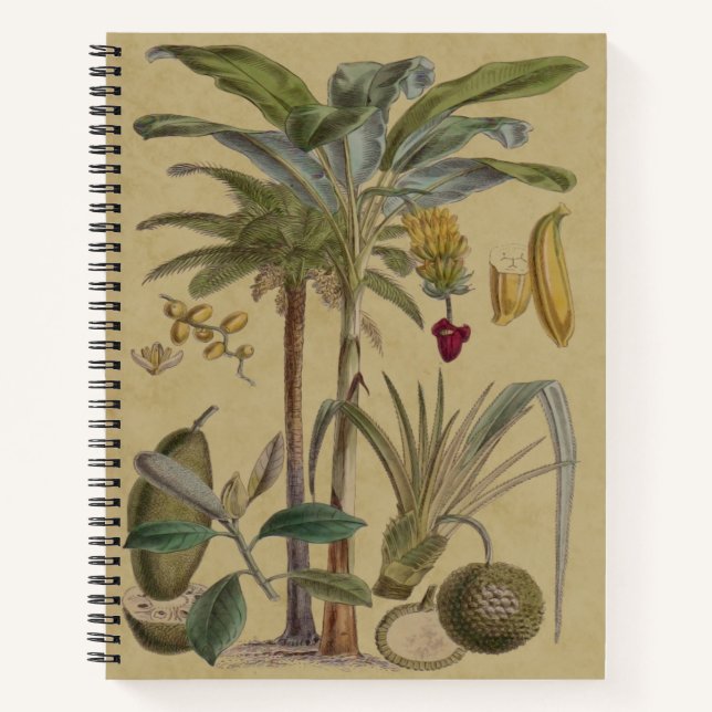 Palm Antique Tropical Fruit Botanical Art Notebook (Front)