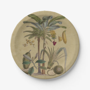 Palm Antique Tropical Fruit Botanical Art Paper Plate