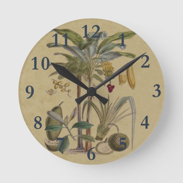 Palm Antique Tropical Fruit Botanical Art Round Clock (Front)