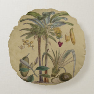 Palm Antique Tropical Fruit Botanical Art Round Pillow