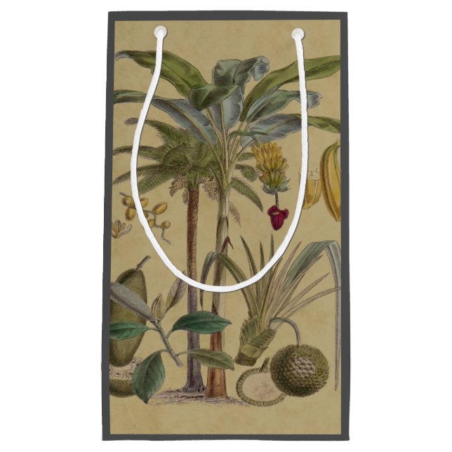Palm Antique Tropical Fruit Botanical Art Small Gift Bag (Front)