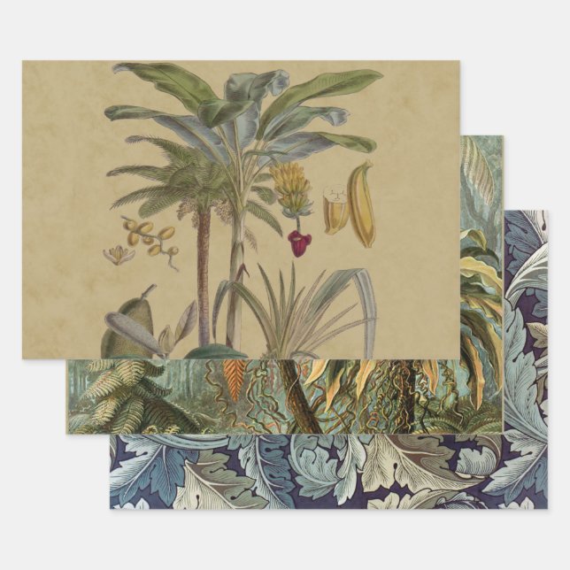 Palm Antique Tropical Fruit Botanical Art Wrapping Paper Sheet (Set)