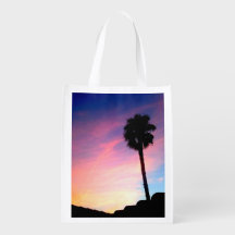 Palm at Sunset