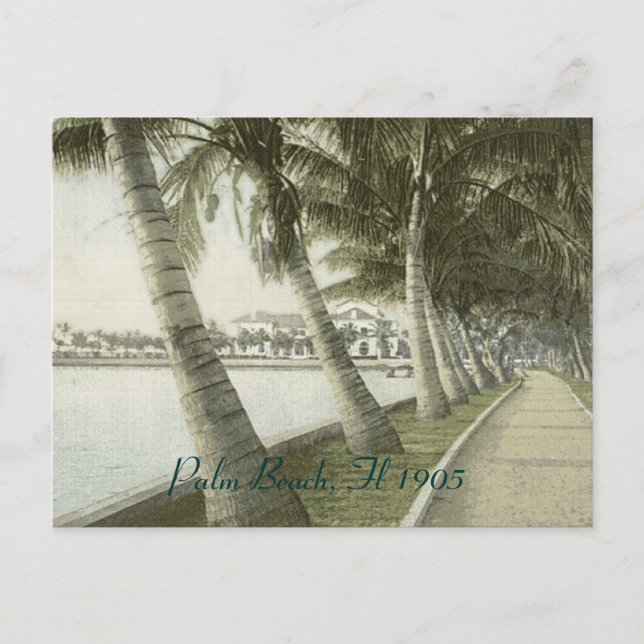 Palm Beach 1905 Postcard (Front)