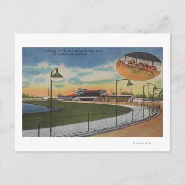 Palm Beach, FL - Kennel Club, Dog Racing Track Postcard (Front)