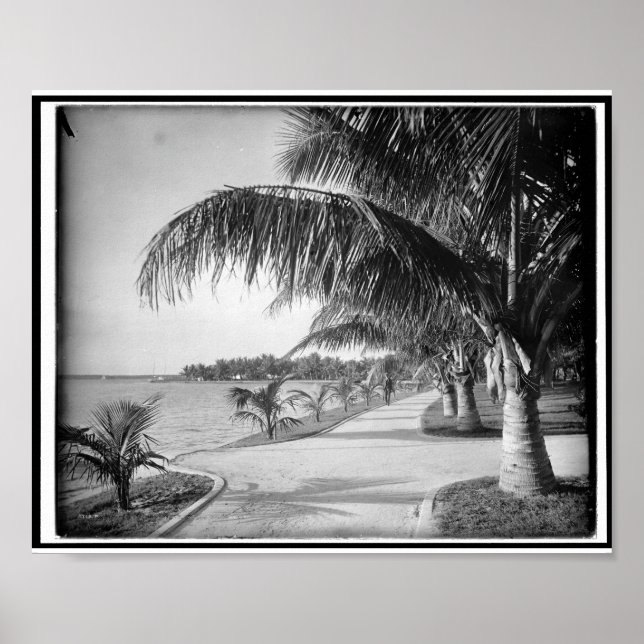 Palm Beach, Florida c1894 Vintage Poster (Front)