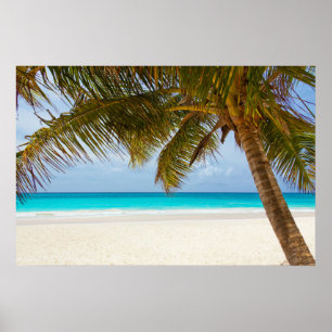 Palm Beach Poster