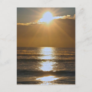 Palm Beach sunrise Postcard