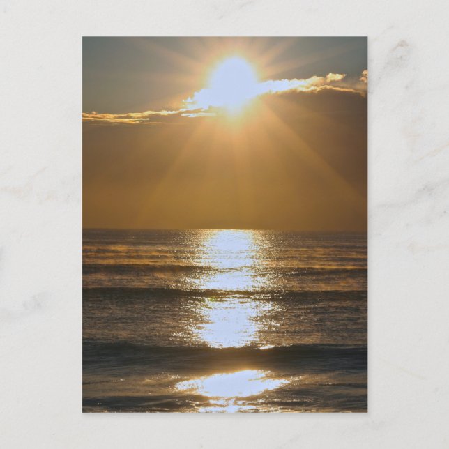 Palm Beach sunrise Postcard (Front)