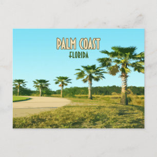 Palm Coast Florida Palm Trees Vintage Postcard
