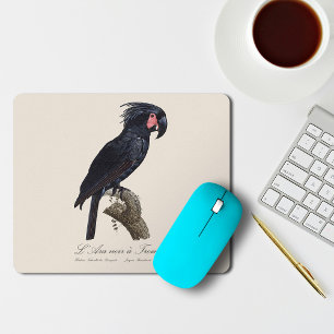 Palm Cockatoo, Probosciger aterrimus parrot, retro Mouse Pad