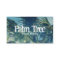 Palm Fronds Photo