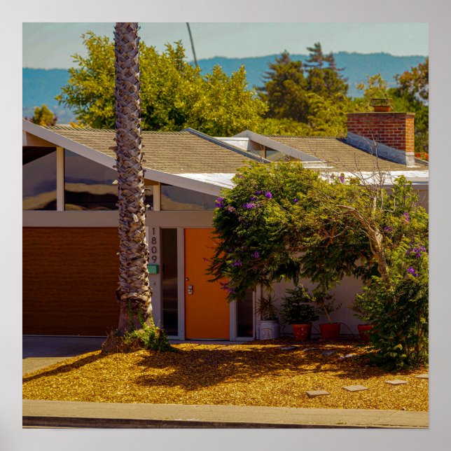 Palm House Poster (Front)