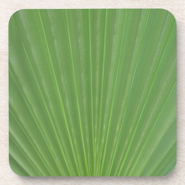 Palm leaf coaster (Front)