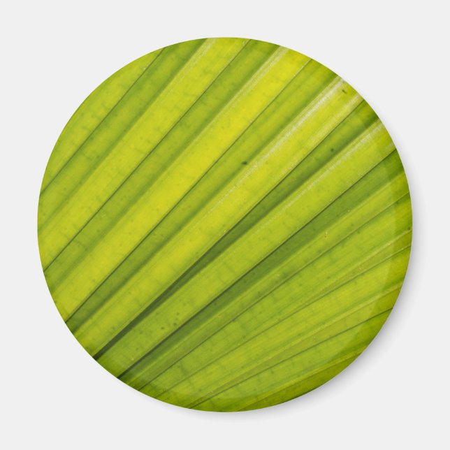 Palm Leaf Magnet (Front)