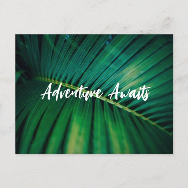Palm Leaf Post Card (Front)