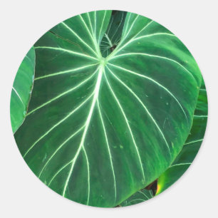 Palm Leaf tropical foliage jungle foliage Classic Round Sticker