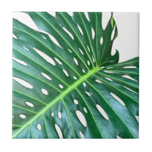 Palm Leaf, tropical foliage, jungle rainforest  Tile