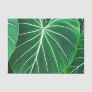 Palm Leaf, tropical foliage, jungle rainforest  Tissue Paper