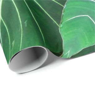 Palm Leaf, tropical foliage, jungle rainforest  Wrapping Paper