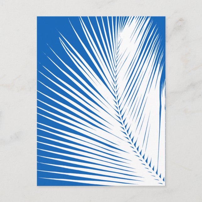 Palm leaf - white on cobalt blue postcard (Front)