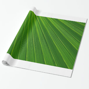 Palm Leaf Wrapping Paper