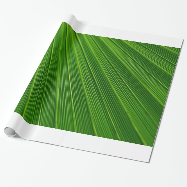 Palm Leaf Wrapping Paper (Unrolled)