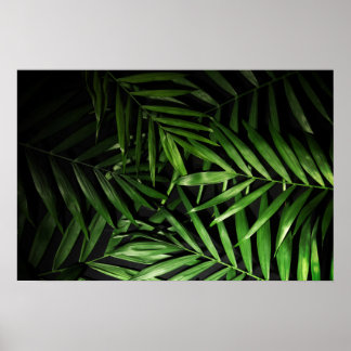 Palm leaves poster