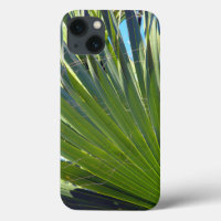 Palm Leaves, Sea Breeze