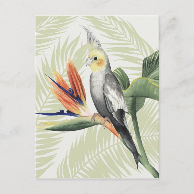 Palm Leaves With Black Bird Postcard (Front)