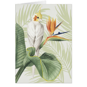 Palm Leaves With White Bird