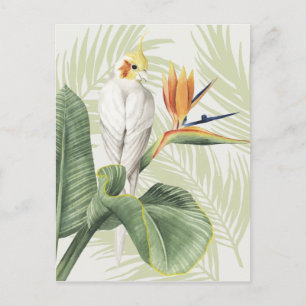 Palm Leaves With White Bird Postcard