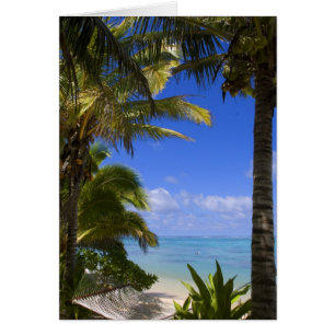 Palm lined beach Cook Islands 2