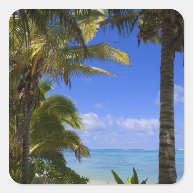 Palm lined beach Cook Islands 2 Square Sticker (Front)