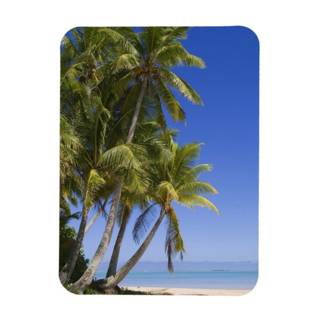 Palm lined beach Cook Islands 3 Magnet (Vertical)