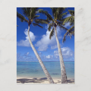 Palm lined beach Cook Islands Postcard