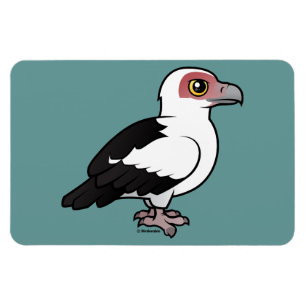 Palm-nut Vulture Magnet