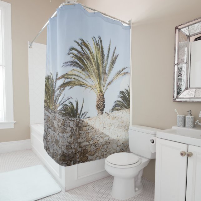 Palm Oasis View 1 (In Situ)