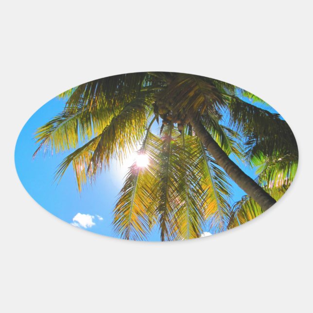 Palm Paradise Blue Sky Sunshine Oval Sticker (Front)