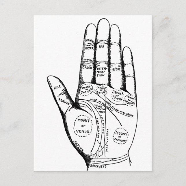 Palm Reading Chart Palmistry fortune teller future Postcard (Front)