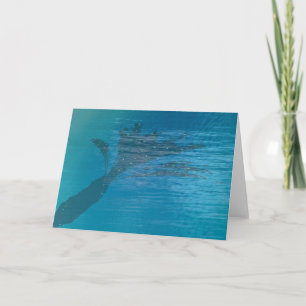 Palm Shadow in Pool Holiday Card